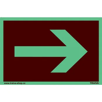 Traiva s.r.o. Šipka k požárnímu zařízení fotoluminiscenční Verze: Plast 150 x 100 mm tl. 1.1 mm - fotoluminiscenční - Kód: 00150