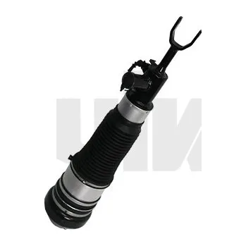 Vzduchová vzpěra vika (46160002401)