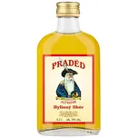 Rudolf Jelínek Praděd 38 %