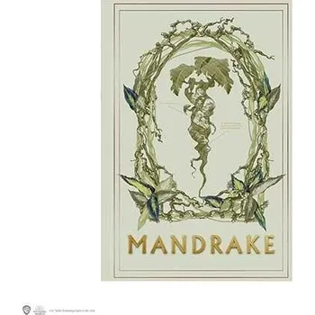 Zápisník Harry Potter zápisník A5 - Mandragora