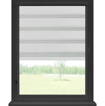 Dekodum Roleta den a noc v antracitové kazetě zatemňovací, barva látky Platinová Šířka (cm): 35, Výška (cm): Standardní (do 150 cm), Strana mechanismu: Levá