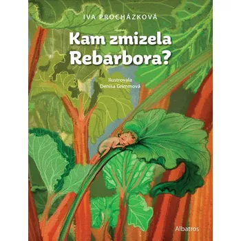Kniha Kam zmizela Rebarbora?