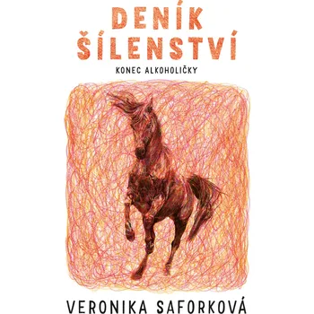 Kniha Deník šílenství