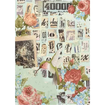 Umělecký papír Cadence Rýžový papír Cadence, A3 - Koláž s kolibříkem