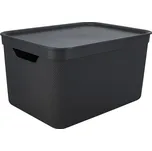 Plastový úložný box s víkem Deco - Rotho ID_1502640