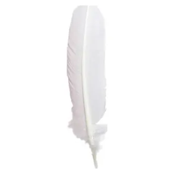 Kaligrafické husí pero bílé 28cm (Kaligrafické husí pero bílé 28cm)