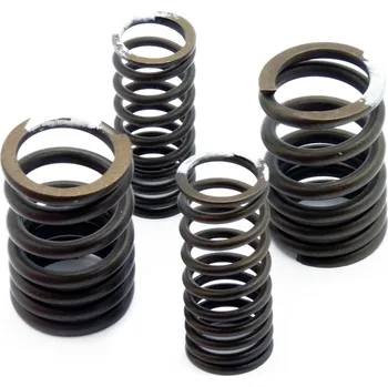 Motor pro motocykl pružiny ventilů pro motor Zongshen 190