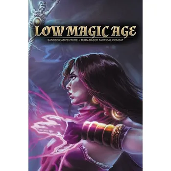 Počítačová hra Low Magic Age PC