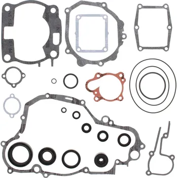 Těsnění motoru Sada těsnění motoru kompletní vč. gufer motoru WINDEROSA CGKOS 811662