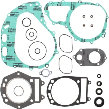 Těsnění motoru Sada těsnění motoru kompletní vč. gufer motoru WINDEROSA CGKOS 811586