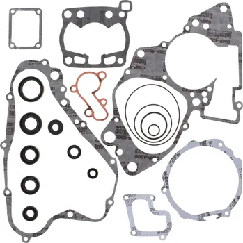 Těsnění motoru Sada těsnění motoru kompletní vč. gufer motoru WINDEROSA CGKOS 811504