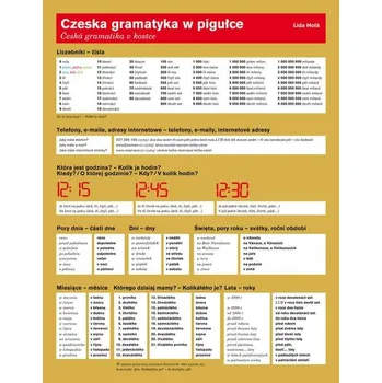 Czeska gramatyka w pigulce - Lída Holá
