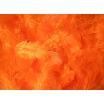 Svatební dekorace Svatba-eshop Dekorační peří oranžové - peříčka oranžová
