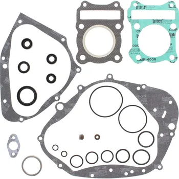 Těsnění motoru Sada těsnění motoru kompletní vč. gufer motoru WINDEROSA CGKOS 811534