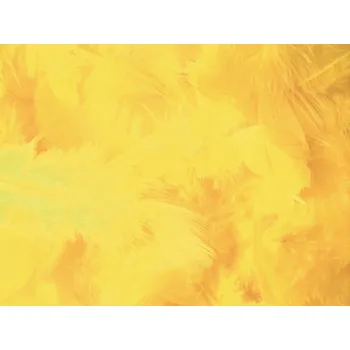 Svatební dekorace Svatba-eshop Dekorační peří žluté - peříčka žlutá