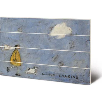 Obraz Dřevěný obraz Sam Toft - Cloud Chasing