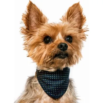 Šátek Chiweto Deluxe Denny S, tm. modrá, zlatý puntík