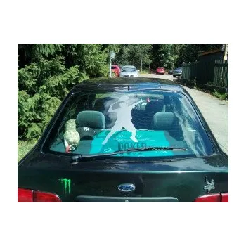 Polep vozidla Tenista 001 pravá (12 - zelená) SAMOLEPKA NA AUTO, NÁLEPKA, FÓLIE, POLEP, TUNING, VLASTNÍ TEXT, TISK, AUTOSAMOLEPKY.cz, POLEPY, OBRÁZEK, LOGO, 3D STICKERS
