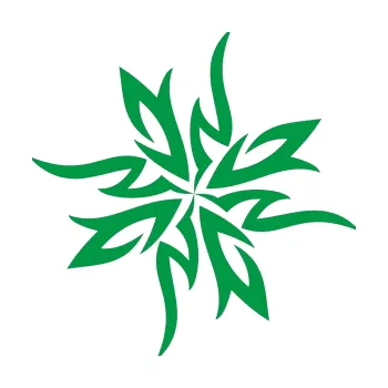 Polep vozidla Tetování 160 (12 - zelená) SAMOLEPKA NA AUTO, NÁLEPKA, FÓLIE, POLEP, TUNING, VLASTNÍ TEXT, TISK, AUTOSAMOLEPKY.cz, POLEPY, OBRÁZEK, LOGO, 3D STICKERS