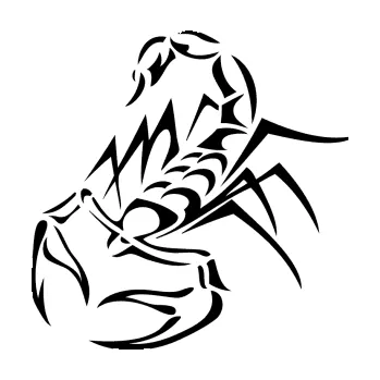 Polep vozidla Štír 017 levá (01 - černá) SAMOLEPKA NA AUTO, NÁLEPKA, FÓLIE, POLEP, TUNING, VLASTNÍ TEXT, TISK, AUTOSAMOLEPKY.cz, POLEPY, OBRÁZEK, LOGO, 3D STICKERS