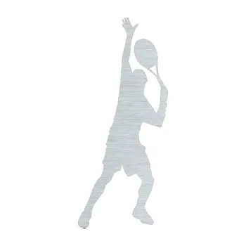 Polep vozidla Tenista 008 pravá (61 - škrábaný hliník) SAMOLEPKA NA AUTO, NÁLEPKA, FÓLIE, POLEP, TUNING, VLASTNÍ TEXT, TISK, AUTOSAMOLEPKY.cz, POLEPY, OBRÁZEK, LOGO, 3D STICKERS