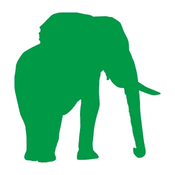 Samolepící dekorace Slon 007 pravá (12 - zelená) SAMOLEPKA NA AUTO, NÁLEPKA, FÓLIE, POLEP, TUNING, VLASTNÍ TEXT, TISK, AUTOSAMOLEPKY.cz, POLEPY, OBRÁZEK, LOGO, 3D STICKERS