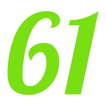 Polep vozidla Startovní číslo 61 typ 3 (04 - zelená kawasaki) SAMOLEPKA NA AUTO, NÁLEPKA, FÓLIE, POLEP, TUNING, VLASTNÍ TEXT, TISK, AUTOSAMOLEPKY.cz, POLEPY, OBRÁZEK, LOGO, 3D STICKERS