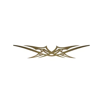 Polep vozidla SAMOLEPKA Tetování 016 (64 - škrábaný kov zlatý) NA AUTO, NÁLEPKA, FÓLIE, POLEP, TUNING, VLASTNÍ TEXT, TISK, AUTOSAMOLEPKY.cz, POLEPY, OBRÁZEK, LOGO, SAMOLEPKY