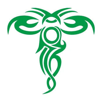 Polep vozidla Tetování 190 (12 - zelená) SAMOLEPKA NA AUTO, NÁLEPKA, FÓLIE, POLEP, TUNING, VLASTNÍ TEXT, TISK, AUTOSAMOLEPKY.cz, POLEPY, OBRÁZEK, LOGO, 3D STICKERS