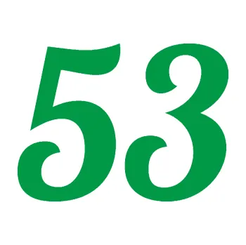 Polep vozidla Startovní číslo 53 typ 3 (12 - zelená) SAMOLEPKA NA AUTO, NÁLEPKA, FÓLIE, POLEP, TUNING, VLASTNÍ TEXT, TISK, AUTOSAMOLEPKY.cz, POLEPY, OBRÁZEK, LOGO, 3D STICKERS