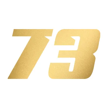 Polep vozidla Startovní číslo 73 typ 6 (43 - zlatá metalíza) SAMOLEPKA NA AUTO, NÁLEPKA, FÓLIE, POLEP, TUNING, VLASTNÍ TEXT, TISK, AUTOSAMOLEPKY.cz, POLEPY, OBRÁZEK, LOGO, 3D STICKERS