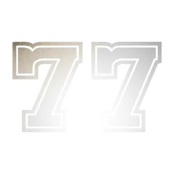 Polep vozidla Startovní číslo 77 typ 5 (82 - odrazková reflexní bílá) SAMOLEPKA NA AUTO, NÁLEPKA, FÓLIE, POLEP, TUNING, VLASTNÍ TEXT, TISK, AUTOSAMOLEPKY.cz, POLEPY, OBRÁZEK, LOGO, 3D STICKERS