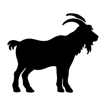 Samolepící dekorace SAMOLEPKA Kozel 008 pravá silueta (01 - černá) NA AUTO, NÁLEPKA, FÓLIE, POLEP, TUNING, VLASTNÍ TEXT, TISK, AUTOSAMOLEPKY.cz, POLEPY, OBRÁZEK, LOGO, SAMOLEPKY