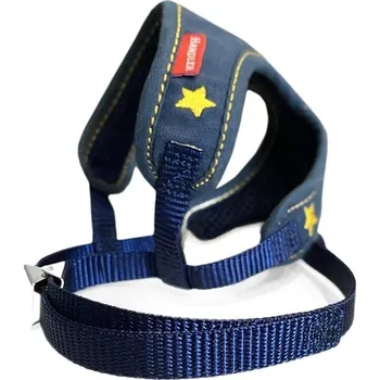 Postroj pro psa Japan Premium Set postroj + vodítko "Anglický styl"s dvojitým zapínáním, velikost SS, modrý