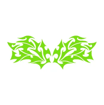 Polep vozidla Tetování 196 (04 - zelená kawasaki) SAMOLEPKA NA AUTO, NÁLEPKA, FÓLIE, POLEP, TUNING, VLASTNÍ TEXT, TISK, AUTOSAMOLEPKY.cz, POLEPY, OBRÁZEK, LOGO, 3D STICKERS