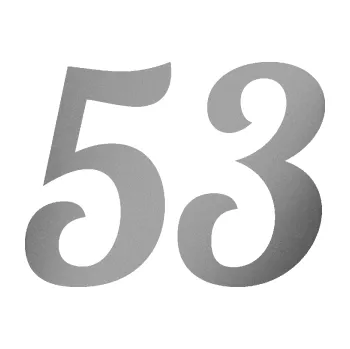Polep vozidla Startovní číslo 53 typ 3 (42 - stříbrná metalíza) SAMOLEPKA NA AUTO, NÁLEPKA, FÓLIE, POLEP, TUNING, VLASTNÍ TEXT, TISK, AUTOSAMOLEPKY.cz, POLEPY, OBRÁZEK, LOGO, 3D STICKERS
