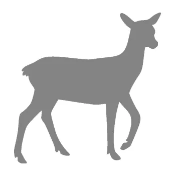 Samolepící dekorace SAMOLEPKA Srna 003 pravá (17 - šedá) NA AUTO, NÁLEPKA, FÓLIE, POLEP, TUNING, VLASTNÍ TEXT, TISK, AUTOSAMOLEPKY.cz, POLEPY, OBRÁZEK, LOGO, SAMOLEPKY