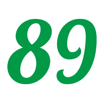 Polep vozidla Startovní číslo 89 typ 3 (12 - zelená) SAMOLEPKA NA AUTO, NÁLEPKA, FÓLIE, POLEP, TUNING, VLASTNÍ TEXT, TISK, AUTOSAMOLEPKY.cz, POLEPY, OBRÁZEK, LOGO, 3D STICKERS