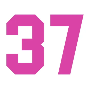 Polep vozidla Startovní číslo 37 (16 - růžová) SAMOLEPKA NA AUTO, NÁLEPKA, FÓLIE, POLEP, TUNING, VLASTNÍ TEXT, TISK, AUTOSAMOLEPKY.cz, POLEPY, OBRÁZEK, LOGO, 3D STICKERS