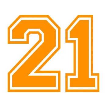 Polep vozidla Startovní číslo 21 typ 4 (06 - oranžová) SAMOLEPKA NA AUTO, NÁLEPKA, FÓLIE, POLEP, TUNING, VLASTNÍ TEXT, TISK, AUTOSAMOLEPKY.cz, POLEPY, OBRÁZEK, LOGO, 3D STICKERS