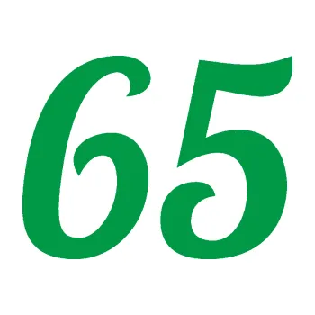 Polep vozidla Startovní číslo 65 typ 3 (12 - zelená) SAMOLEPKA NA AUTO, NÁLEPKA, FÓLIE, POLEP, TUNING, VLASTNÍ TEXT, TISK, AUTOSAMOLEPKY.cz, POLEPY, OBRÁZEK, LOGO, 3D STICKERS