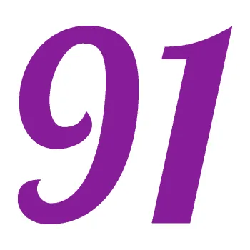 Polep vozidla Startovní číslo 91 typ 3 (14 - fialová) SAMOLEPKA NA AUTO, NÁLEPKA, FÓLIE, POLEP, TUNING, VLASTNÍ TEXT, TISK, AUTOSAMOLEPKY.cz, POLEPY, OBRÁZEK, LOGO, 3D STICKERS