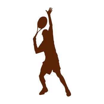 Polep vozidla Tenista 008 levá (15 - hnědá) SAMOLEPKA NA AUTO, NÁLEPKA, FÓLIE, POLEP, TUNING, VLASTNÍ TEXT, TISK, AUTOSAMOLEPKY.cz, POLEPY, OBRÁZEK, LOGO, 3D STICKERS