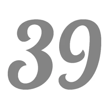 Polep vozidla Startovní číslo 39 typ 3 (17 - šedá) SAMOLEPKA NA AUTO, NÁLEPKA, FÓLIE, POLEP, TUNING, VLASTNÍ TEXT, TISK, AUTOSAMOLEPKY.cz, POLEPY, OBRÁZEK, LOGO, 3D STICKERS