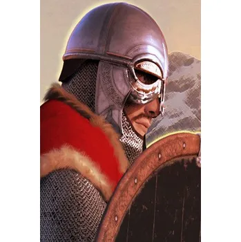 Počítačová hra Shieldwall Chronicles: Swords of the North PC