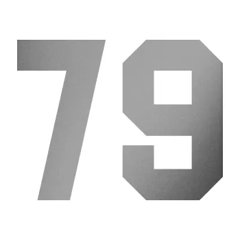 Polep vozidla Startovní číslo 79 (42 - stříbrná metalíza) SAMOLEPKA NA AUTO, NÁLEPKA, FÓLIE, POLEP, TUNING, VLASTNÍ TEXT, TISK, AUTOSAMOLEPKY.cz, POLEPY, OBRÁZEK, LOGO, 3D STICKERS