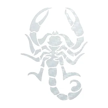 Polep vozidla SAMOLEPKA Štír 004 pravá (51 - 3D karbon bílý) NA AUTO, NÁLEPKA, FÓLIE, POLEP, TUNING, VLASTNÍ TEXT, TISK, AUTOSAMOLEPKY.cz, POLEPY, OBRÁZEK, LOGO, SAMOLEPKY