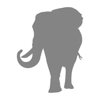 Samolepící dekorace SAMOLEPKA Slon 010 levá (17 - šedá) NA AUTO, NÁLEPKA, FÓLIE, POLEP, TUNING, VLASTNÍ TEXT, TISK, AUTOSAMOLEPKY.cz, POLEPY, OBRÁZEK, LOGO, SAMOLEPKY