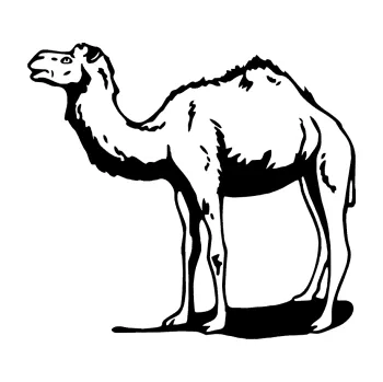 Samolepící dekorace SAMOLEPKA Velbloud 001 levá (01 - černá) NA AUTO, NÁLEPKA, FÓLIE, POLEP, TUNING, VLASTNÍ TEXT, TISK, AUTOSAMOLEPKY.cz, POLEPY, OBRÁZEK, LOGO, SAMOLEPKY