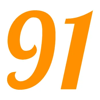 Polep vozidla Startovní číslo 91 typ 3 (06 - oranžová) SAMOLEPKA NA AUTO, NÁLEPKA, FÓLIE, POLEP, TUNING, VLASTNÍ TEXT, TISK, AUTOSAMOLEPKY.cz, POLEPY, OBRÁZEK, LOGO, 3D STICKERS